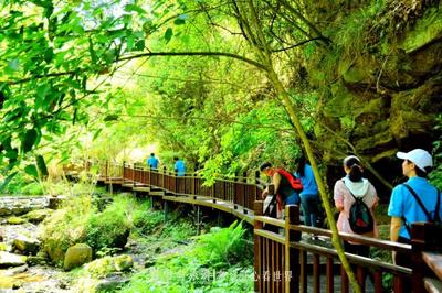 竹山县:森林康养已成为旅游经济增长新引擎